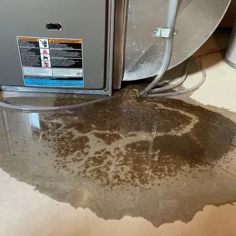 Appliance Leak Cleanup in Union County, KY